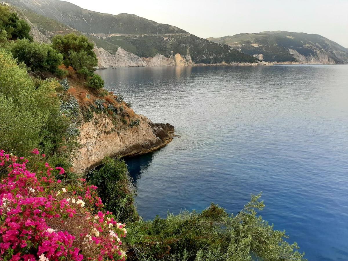 Cavos Inn Apartments Kefalonia Asos Exteriör bild