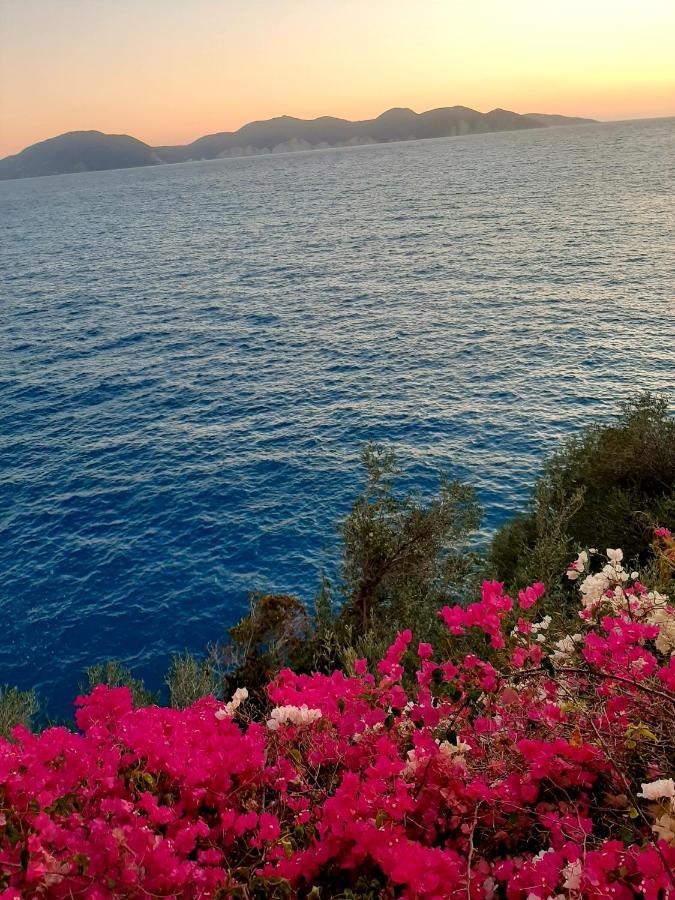 Cavos Inn Apartments Kefalonia Asos Exteriör bild