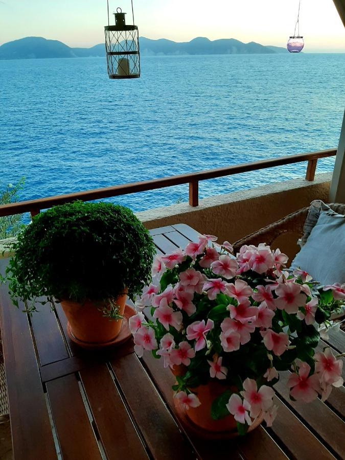 Cavos Inn Apartments Kefalonia Asos Exteriör bild