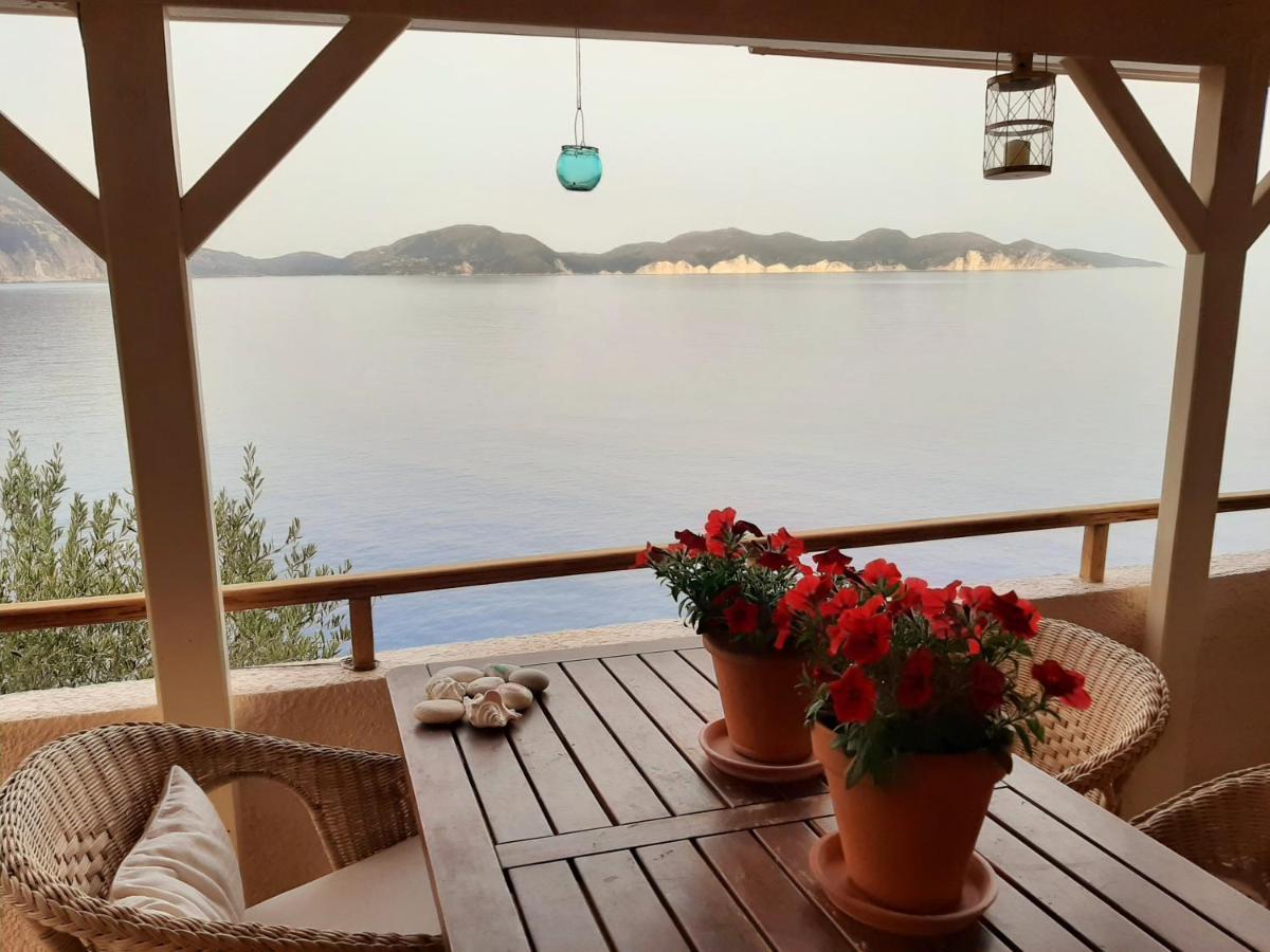 Cavos Inn Apartments Kefalonia Asos Exteriör bild